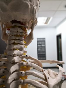 Kiedy warto udać się do osteopaty?