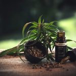Jaki olej CBD zwalcza raka?