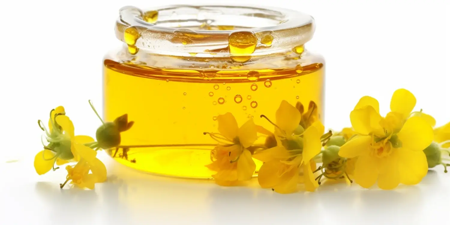 Miód wrzosowy kiedy zbiór?