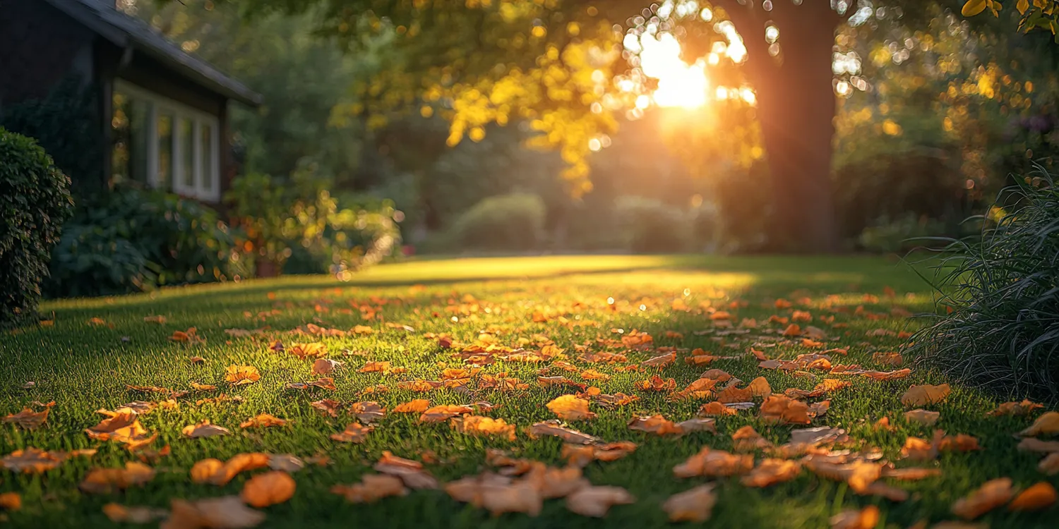 Kiedy podlewać ogród?