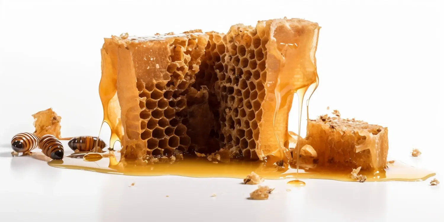 Miód rzepakowy – słodki nektar polskich pól